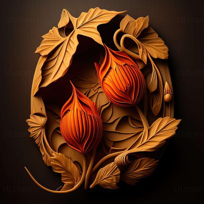 3D модель Haemaphysalis concinna (STL)